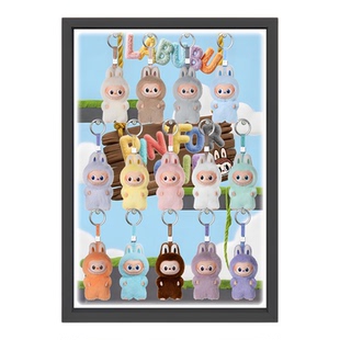 THE Monsters心底密码系列展示盒泡泡玛特拉布布盲盒展示盒壁挂相