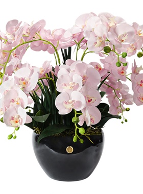 CoteNoire蝴蝶兰仿真花瓶奢华
