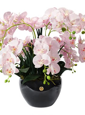 CoteNoire蝴蝶兰仿真花瓶奢华
