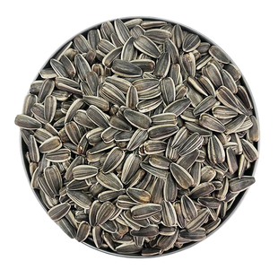 生瓜子葵花籽小葵花瓜子非油葵内蒙特产老品种散装纯生原味小瓜子