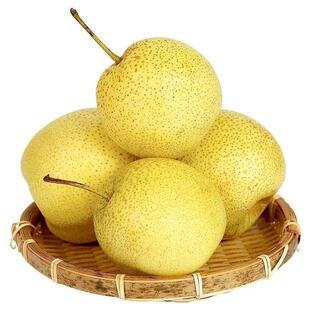 正宗雪花梨河北赵县特产雪梨当季新鲜水果特级梨子脆甜多汁蒸煮好