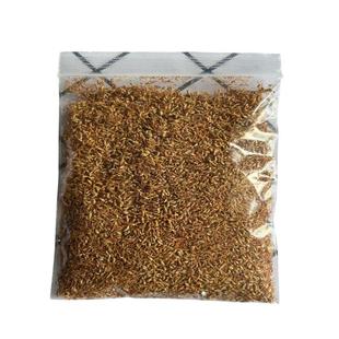 凉粉籽手搓冰凉粉江西特产薜荔果夏季不用石灰净含量100克农产品