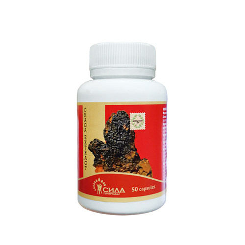 白桦茸胶囊俄罗斯进口西伯利亚森林桦树茸正品桦褐孔菌冲调饮品