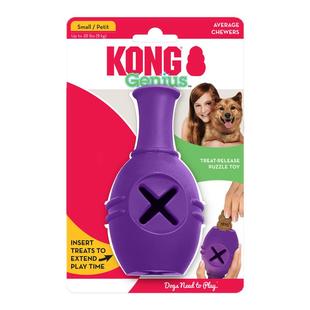 KONG米开朗基罗S/L达芬奇橡胶藏漏食丰容逗狗天才玩具Genius MIKE