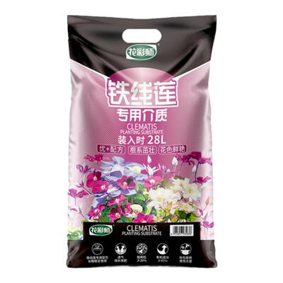 花彩师铁线莲专用营养土花色鲜艳