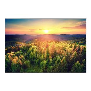 日出东方装饰画客厅风景森林餐厅太阳旭日东升治愈系办公室挂画