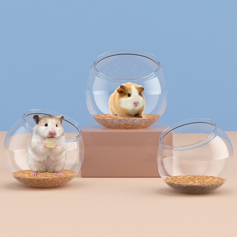 塑料透明迷你仓鼠笼易清洗用品便携式松鼠笼玩具盒子仓鼠仓鼠饲养