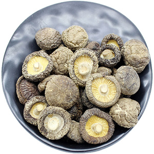 当季新货庆元农家香菇干货250g