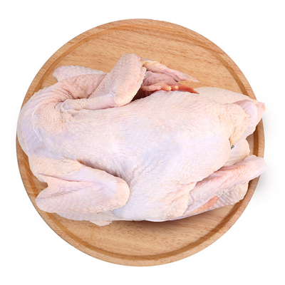 广东清远鸡土鸡白切鸡专用鸡
