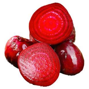 新鲜现挖甜菜根产地直发蔬菜打汁根红甜菜头当季农家自种整箱包邮