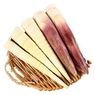 现挖新鲜雷竹笋春笋带壳雷笋冬笋竹笋蔬菜红泥鲜嫩笋尖腌笃笋油焖