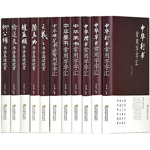 王羲之褚遂良柳公权颜真卿赵孟頫书法真迹欣赏 中华草书行书楷书隶书篆书硬笔书法大字典【正版精装】常用字字汇名家书法入门字帖