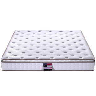 伊丽丝床垫官方旗舰店名牌椰棕床垫家用无甲醛乳胶床垫硬垫