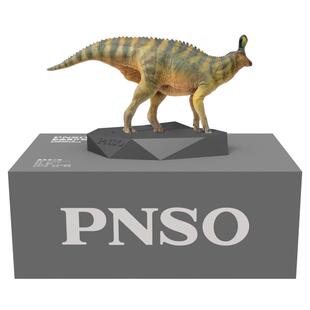 PNSO恐龙博物馆青岛龙小琴1:35科学艺术模型