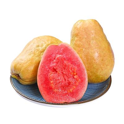 【现摘现发】现摘红心软芭乐