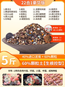 船长多肉专用营养颗粒土泥炭花土种植室内盆栽通用栽培土壤铺面石