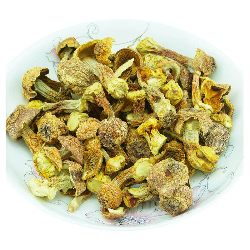 野生姬松茸东北长白山特产蘑菇