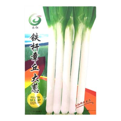 章丘大葱葱种子高白山东