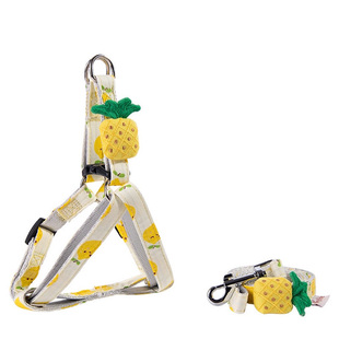 宠物狗狗雪纳瑞泰迪比熊博美玛尔济斯法斗通用胸背带牵引绳套装