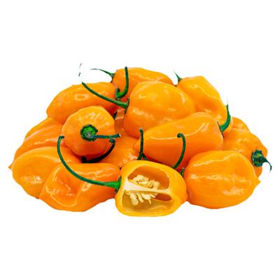 橙色哈瓦那辣椒种子特辣传家宝