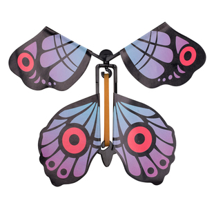 新款儿童户外玩具会飞的蝴蝶喷花礼盒飞去来器儿童竹蜻蜓露营玩具