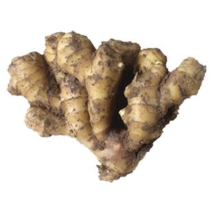 新鲜生姜黄姜安丘大姜窖存泥姜自家种植老姜安丘大黄姜现挖发货食