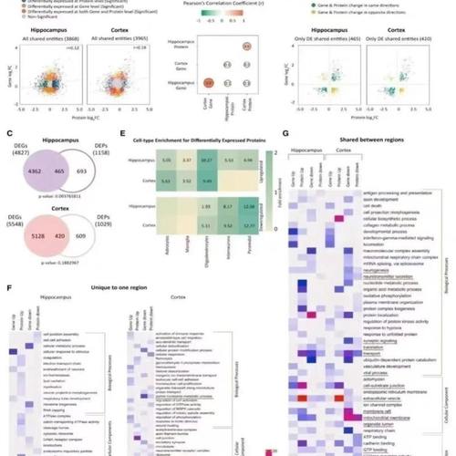 生信 生信分析 生物学 基因学 sci指导 卷积神经网络 matlab 求解