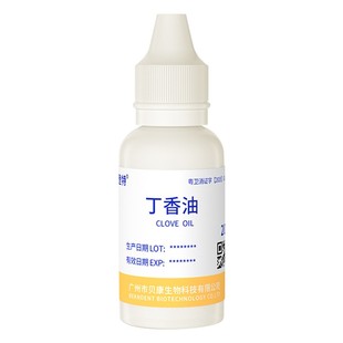 牙科专用纯丁香油口腔氧化锌水门丁酚医用齿科龋齿蛀牙消毒材料