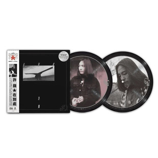 正版 许巍专辑 在别处 黑胶唱片lp 珍藏画胶 烫银编号 12寸/45转