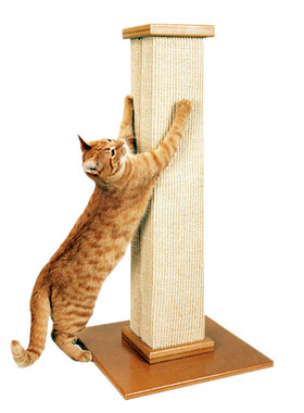 猫抓柱猫抓板SmartCat领券减30元