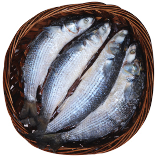 精致潮菜 潮汕熟鱼 潮州打冷鱼饭小菜 海乌鱼即食海鲜1条拼四包邮