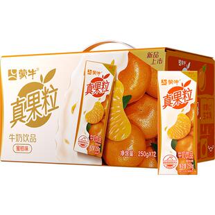 真果粒蜜桔味牛奶饮品优质生牛乳添加桔子汁