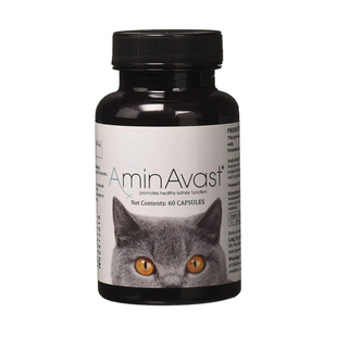 胺肾AminAvast 肾衰停犬狗猫咪宠物急性慢性肾衰肾损伤肾炎多囊肾