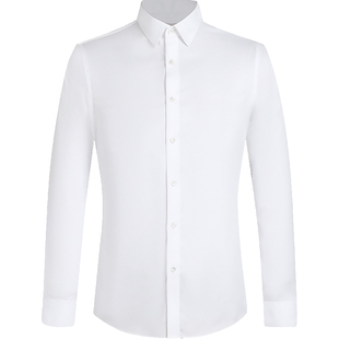 【持久如新】DP免烫男士白衬衫长袖浪登品牌2025新款商务正装衬衣