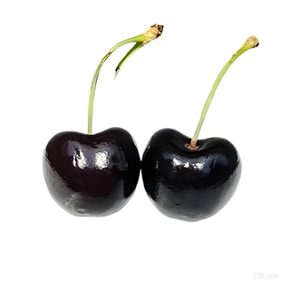 智利进口新鲜车厘子5j科迪亚4j车厘子桑提娜应季水果送礼盒装码好