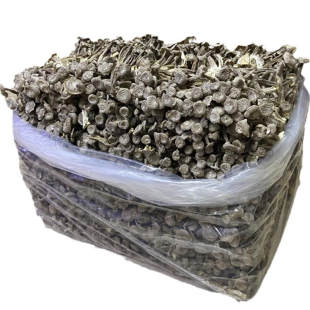 优质鹿茸菇干货500g鹿茸菌无硫新鲜福建土特产煲汤食材香菇农产品