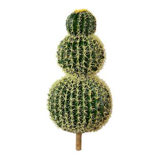 仿真仙人掌仙人柱整套巨人柱室内外造景装饰绿植橱窗落地景观摆件