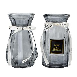 两件套简约创意玻璃花瓶水培鲜花富贵竹水养植物插花瓶客厅装饰