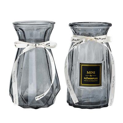 两件套简约玻璃花瓶水培富贵竹