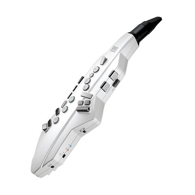 罗兰AE05C电吹管Roland