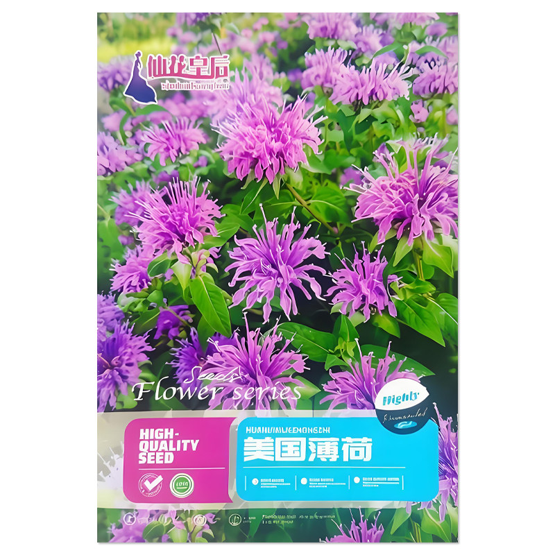 美国薄荷种子香草花卉种子