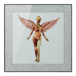 涅槃乐队Nirvana Nevermind原版专辑CD摇滚 音乐装饰画挂画高级感