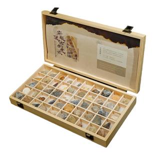 远古馈赠50种天然矿物古生物化石标本套装三叶虫菊石海螺矿石礼盒