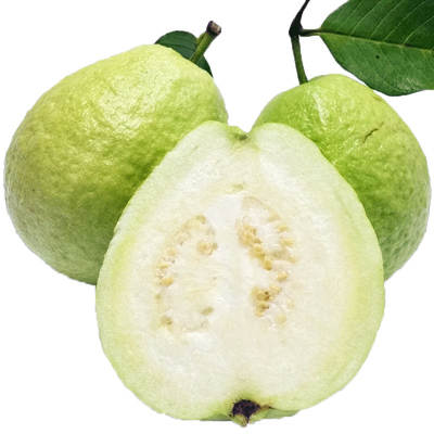 广西软糯软心芭乐5斤水果现摘当季奶软白番石榴奶油芭乐老树果