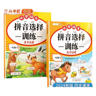 一年级拼音专项选择训练人教版同步课本小学语文拼音拼读训练上下册看拼音写词语幼小衔接汉语拼音声韵母字母表生字注音强化练习册