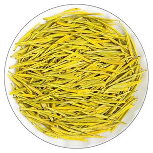 【一斤四罐500克】黄金芽明前高山浓香型2025新茶简装毛尖茶