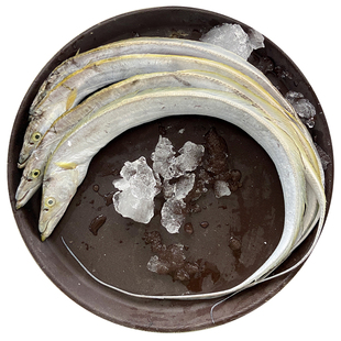 潮汕珠带鱼海捕海鱼新鲜冷冻海鲜水产生鲜黄旗小黄金翅带鱼