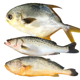 海鲜大礼包海鲜礼盒新鲜海鱼年货礼盒礼包套餐春节团圆家宴送礼