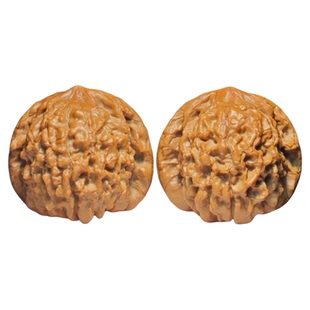 龙鼎核桃文玩精品粗筋特大尺寸高端50收藏级手盘古玩高级男士小众