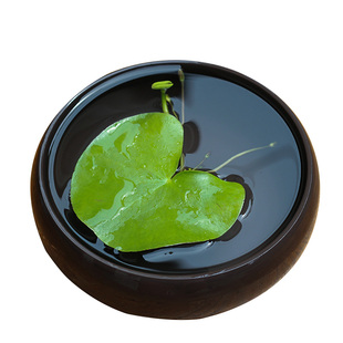 一叶莲 水培植物带花苞迷你小叶睡莲鱼缸浮萍四季微景观好养水草